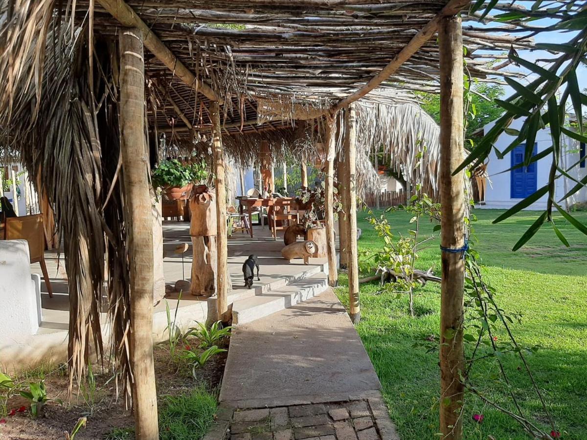 Pousada Casa Branca Pôrto de Pedras エクステリア 写真