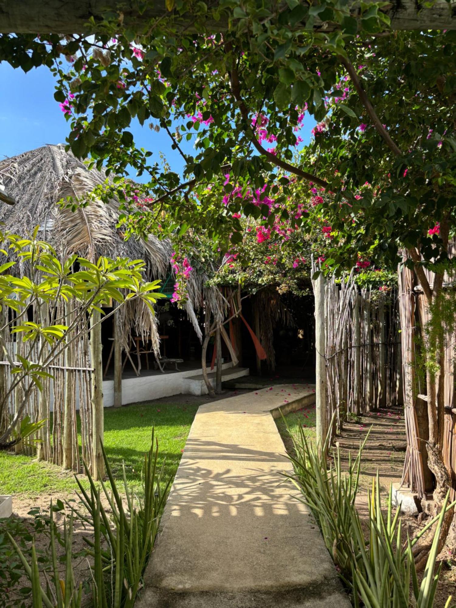 Pousada Casa Branca Pôrto de Pedras エクステリア 写真